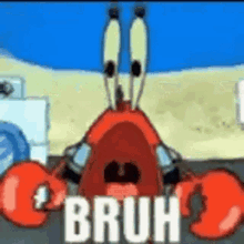 mr krabs bruh